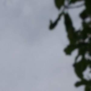 亲近相尾中文版免费高清
